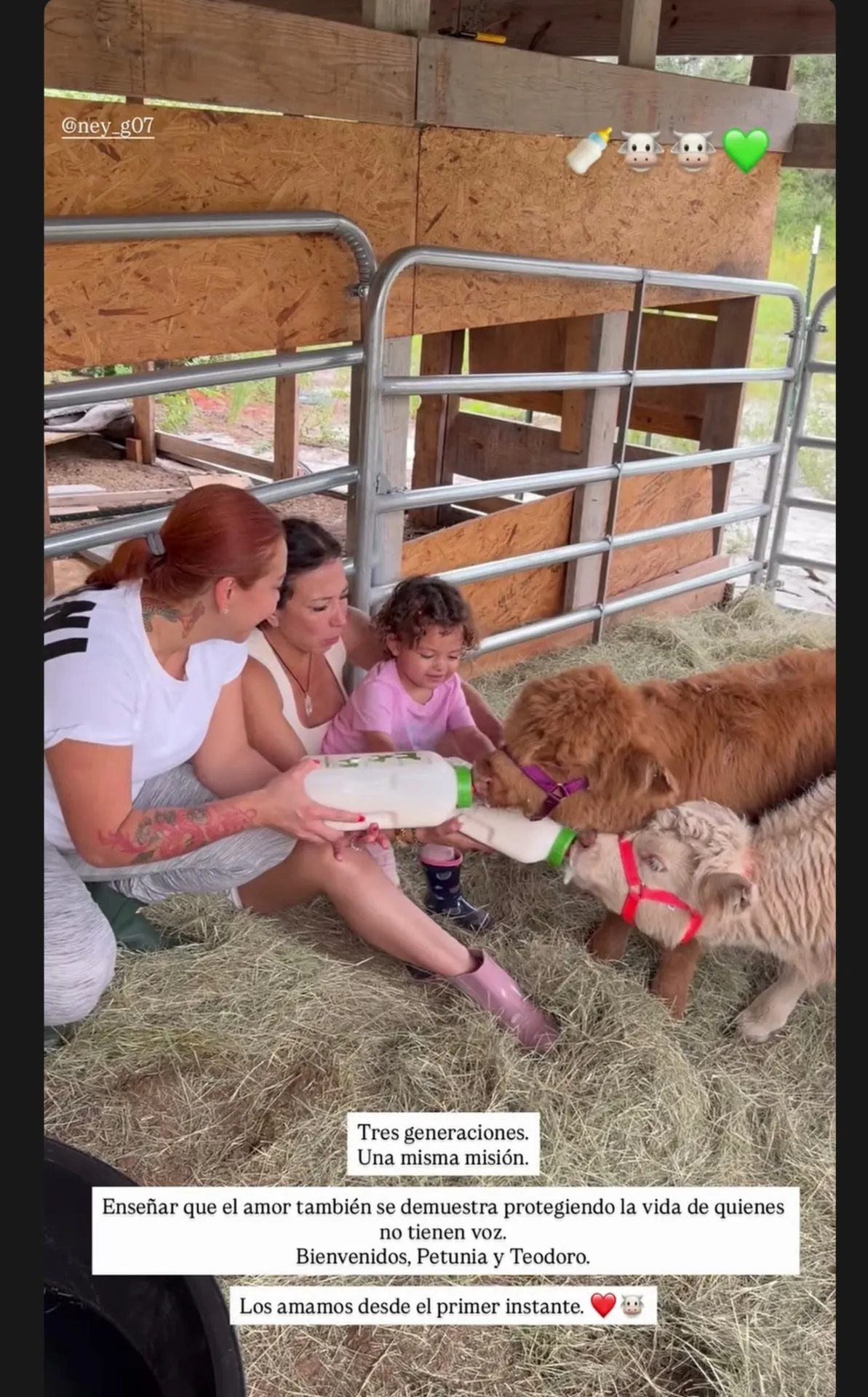 Volunteer day at Petunia's Sanctuary