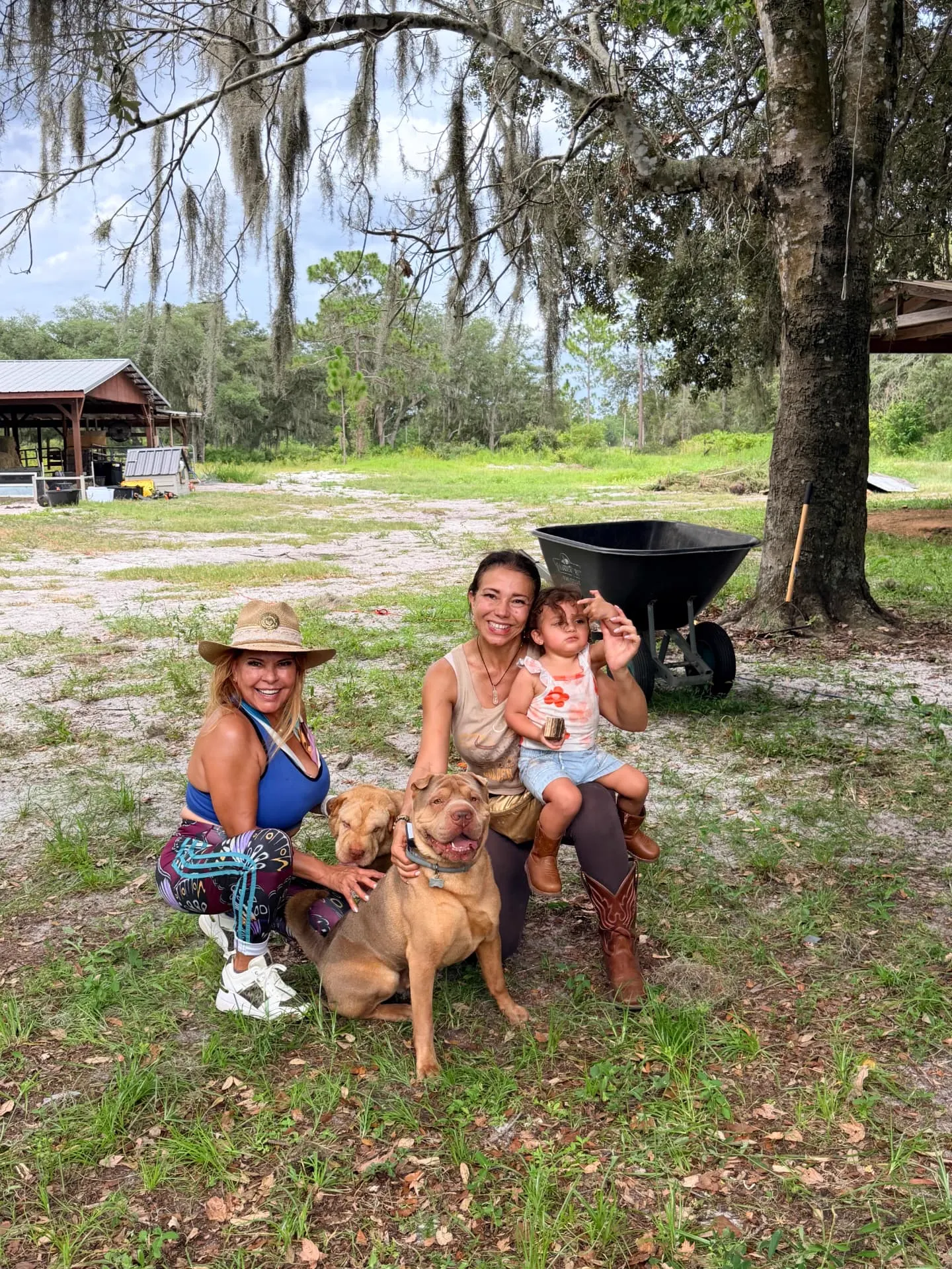 Volunteer day at Petunia's Sanctuary