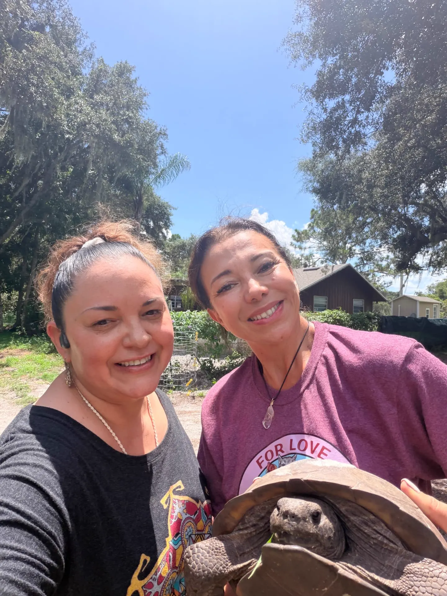 Volunteer day at Petunia's Sanctuary