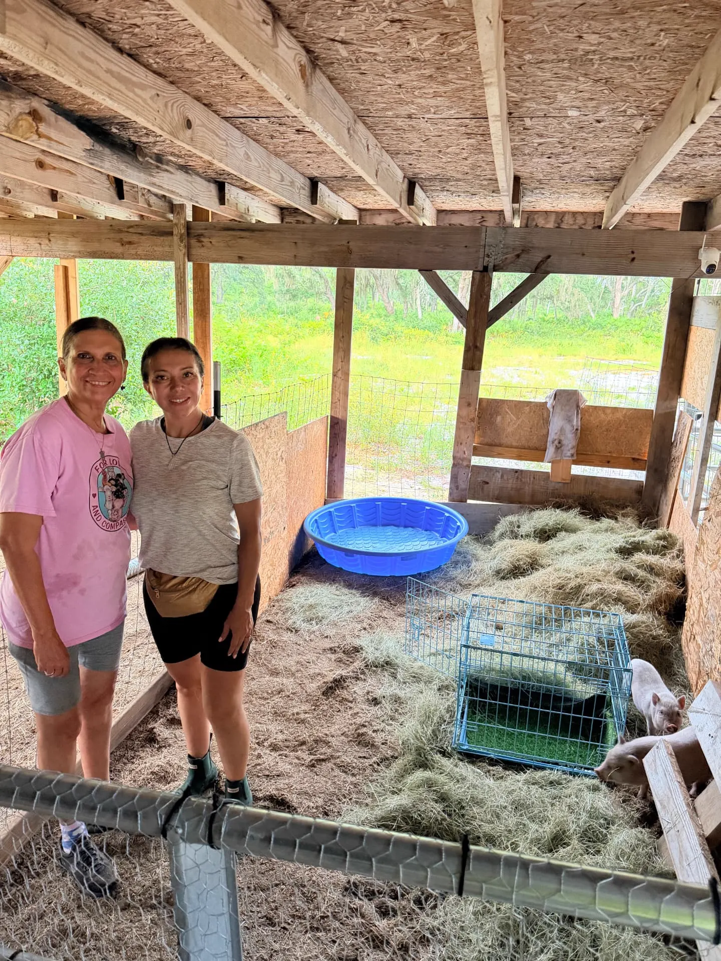 Volunteer day at Petunia's Sanctuary