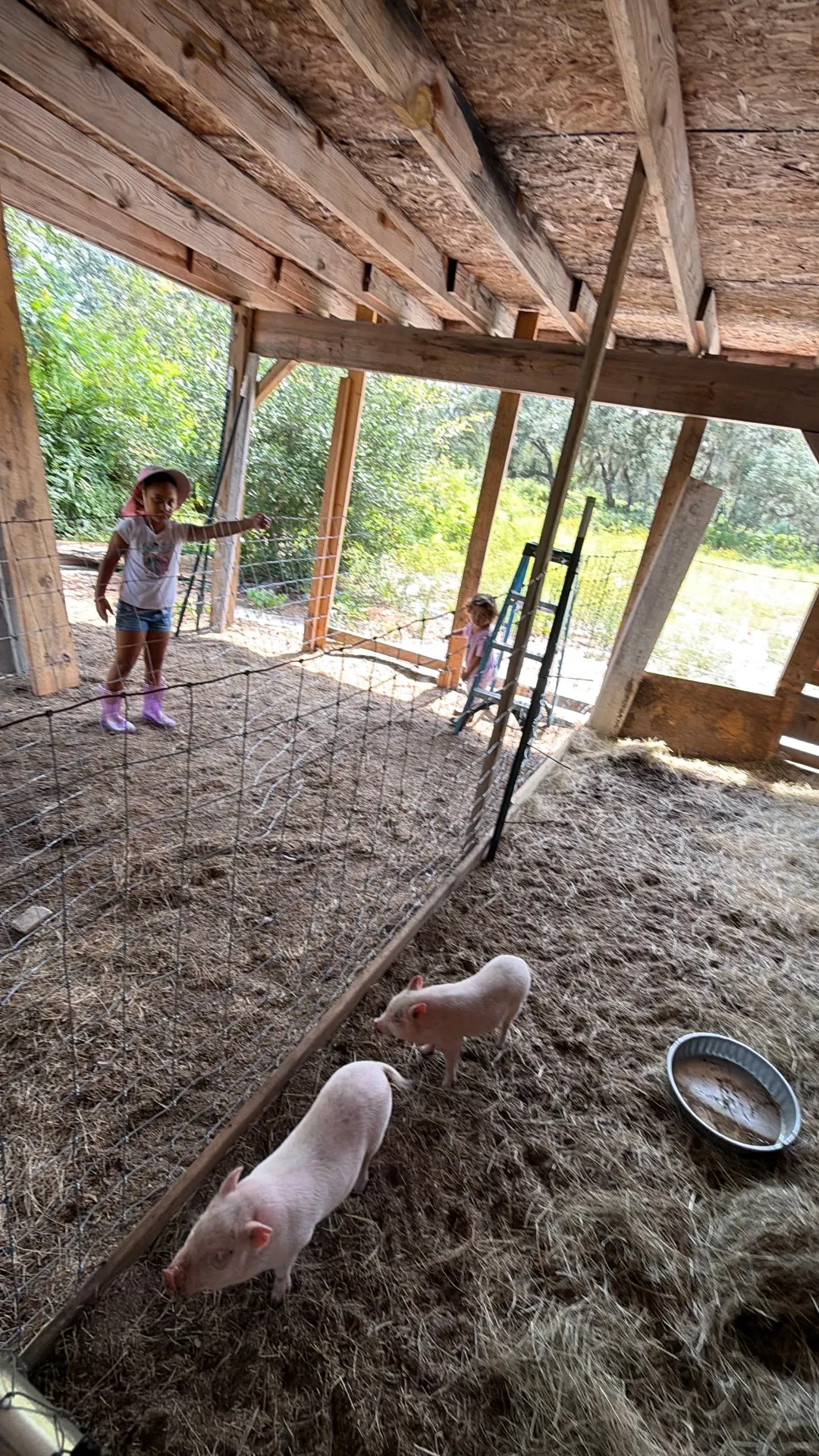 A moment at Petunia's Sanctuary